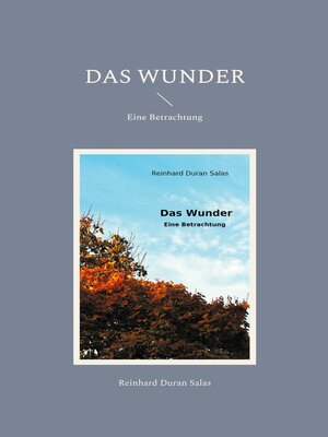 cover image of Das Wunder